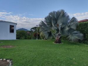 whatsapp image 2026 01 21 at 11.11.11 (1)