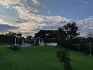 whatsapp image 2026 01 21 at 11.11.14 (3)